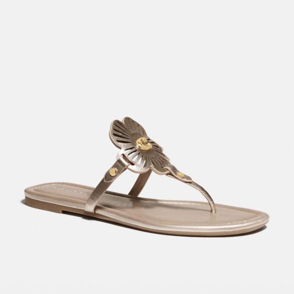 Coach Julia Sandals Champagne